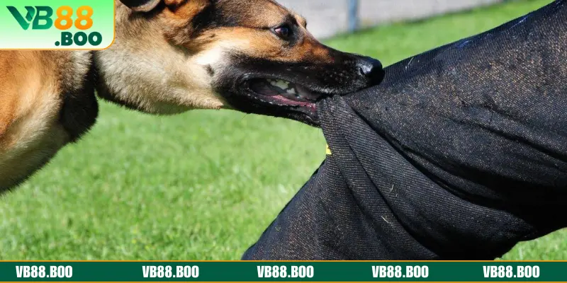 Những con số may mắn mang đến cơ hội đổi đời